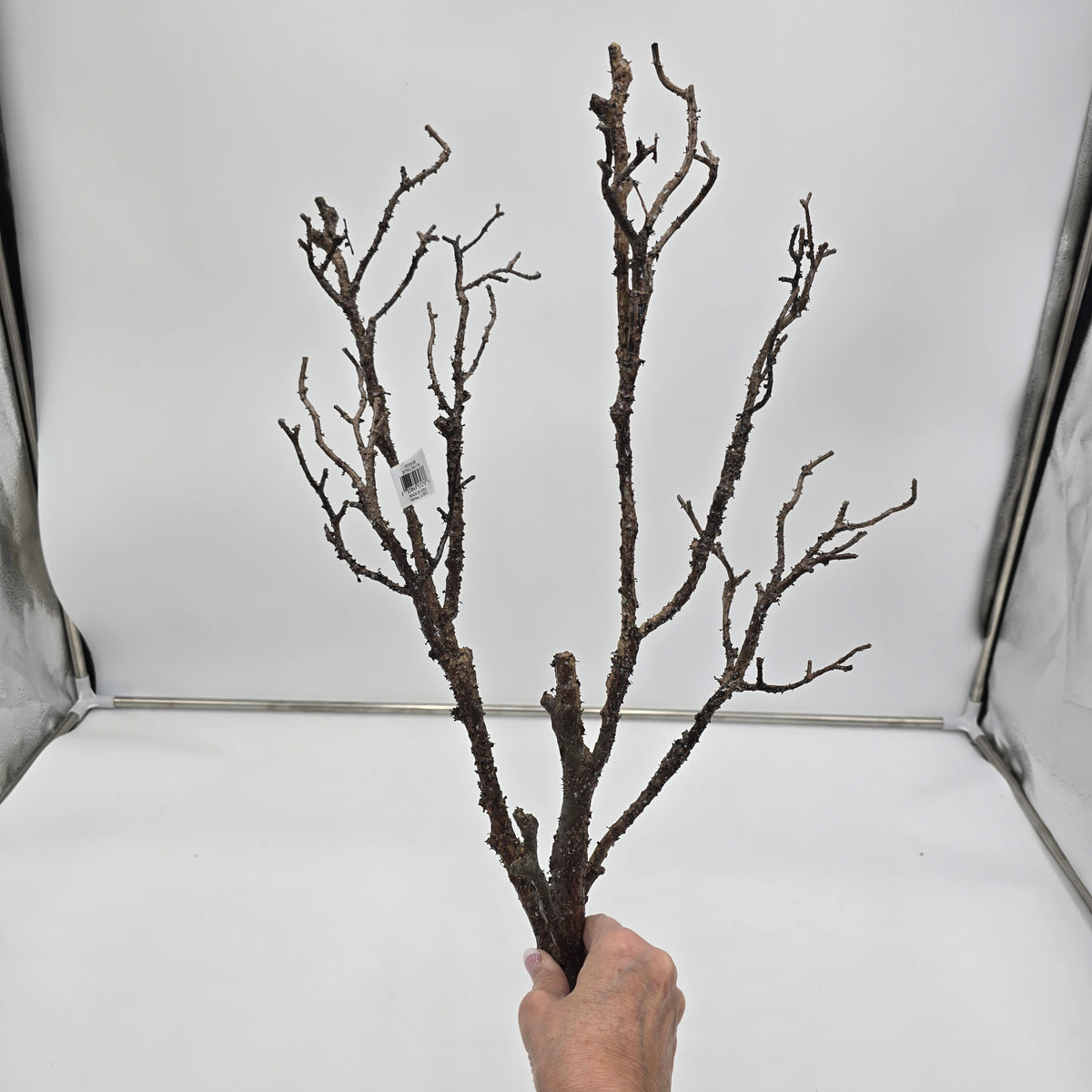 28&quot; Twiggy Branch Spray--#pst656