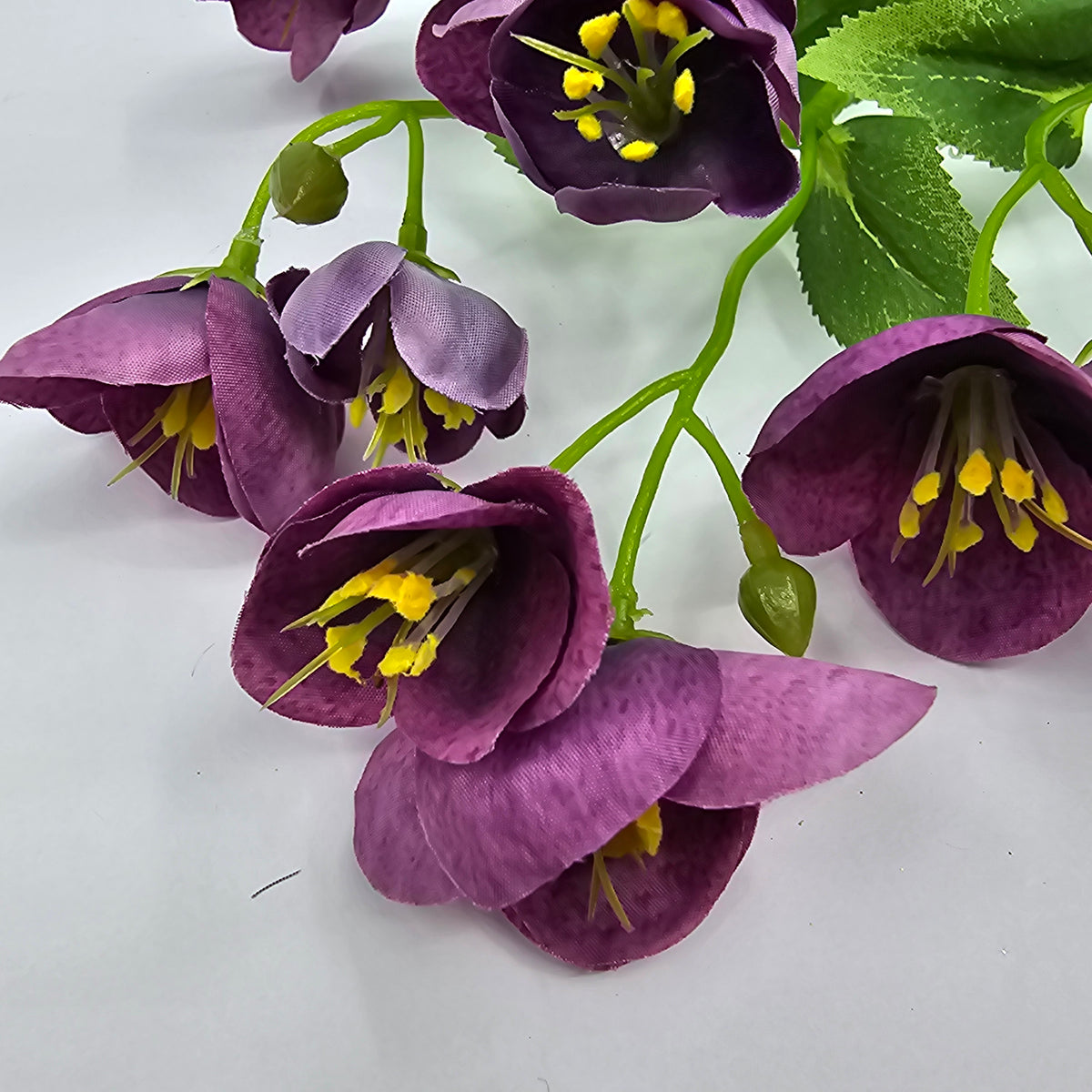 23&quot; Helleborous--#fsh153