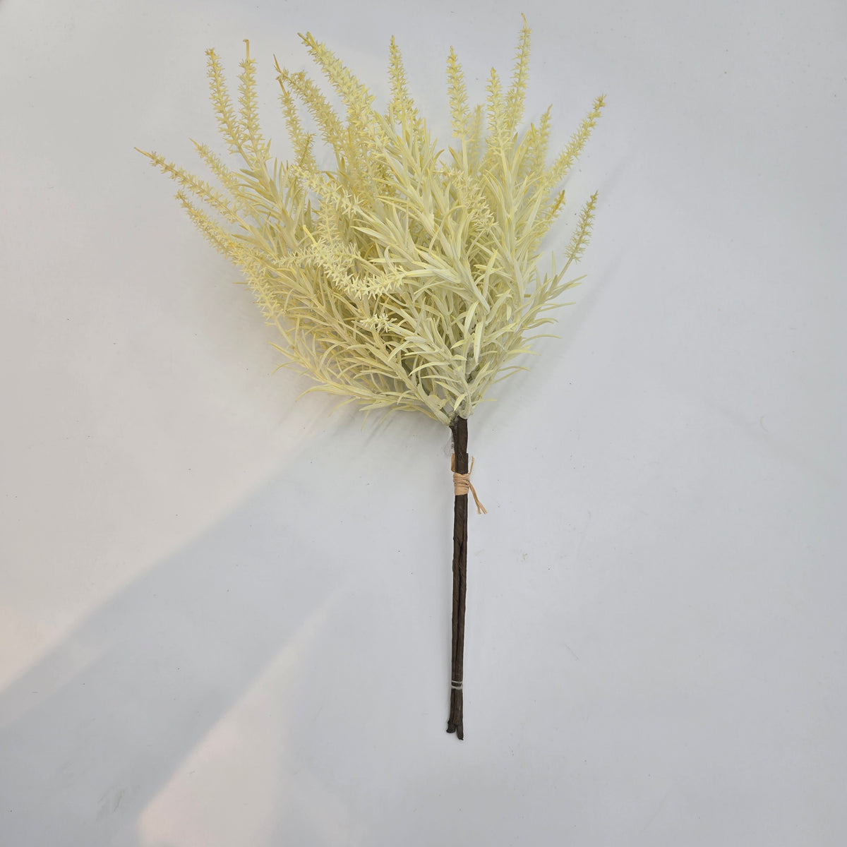 Astilbe Bundle-9&quot; #fbq152