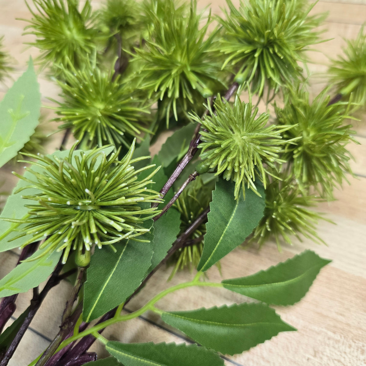 18" Globe Thistle Bundle #fbt556