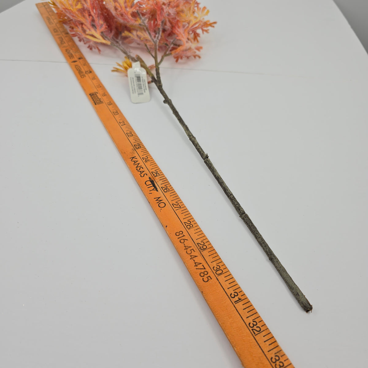 31&quot; Oakleaf Fern--#psf710