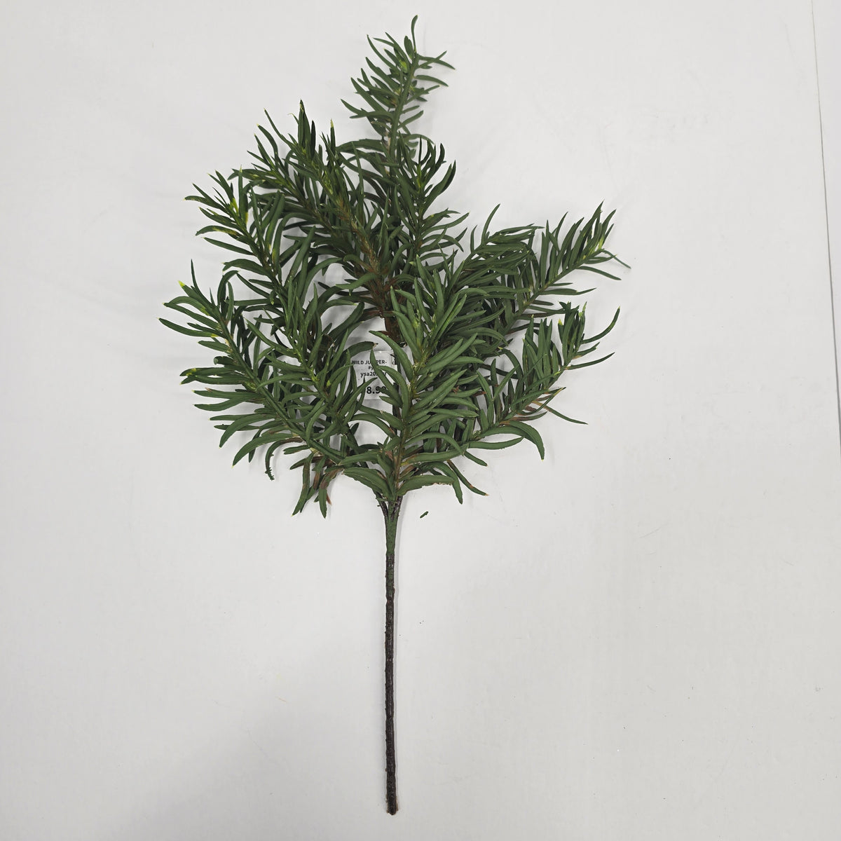 17&quot; WILD JUNIPER-#ysa202