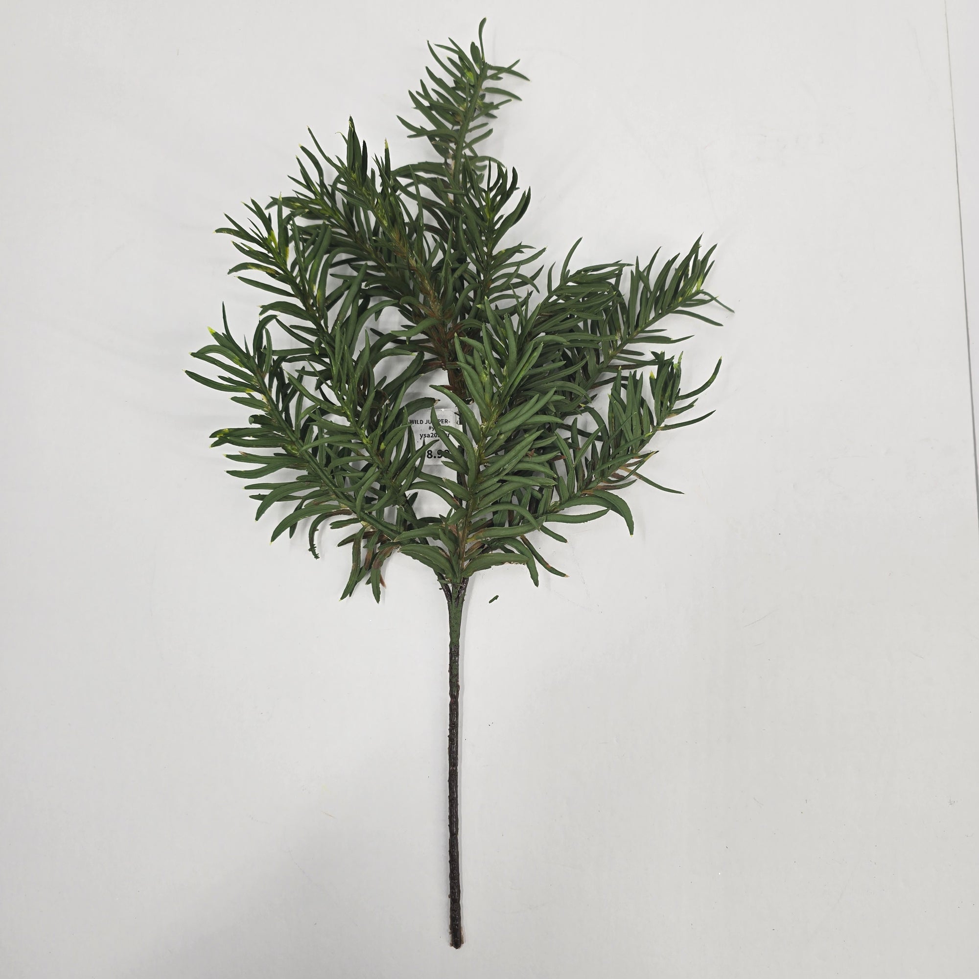 17" WILD JUNIPER-#ysa202