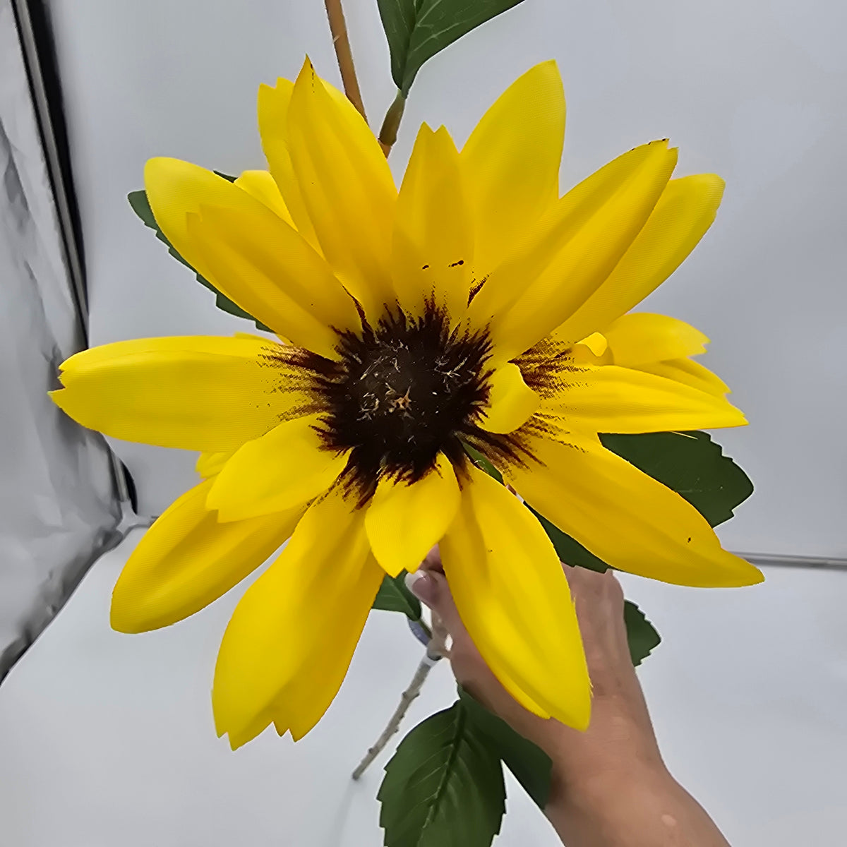 32&quot; Daisy Spray--#fsd420