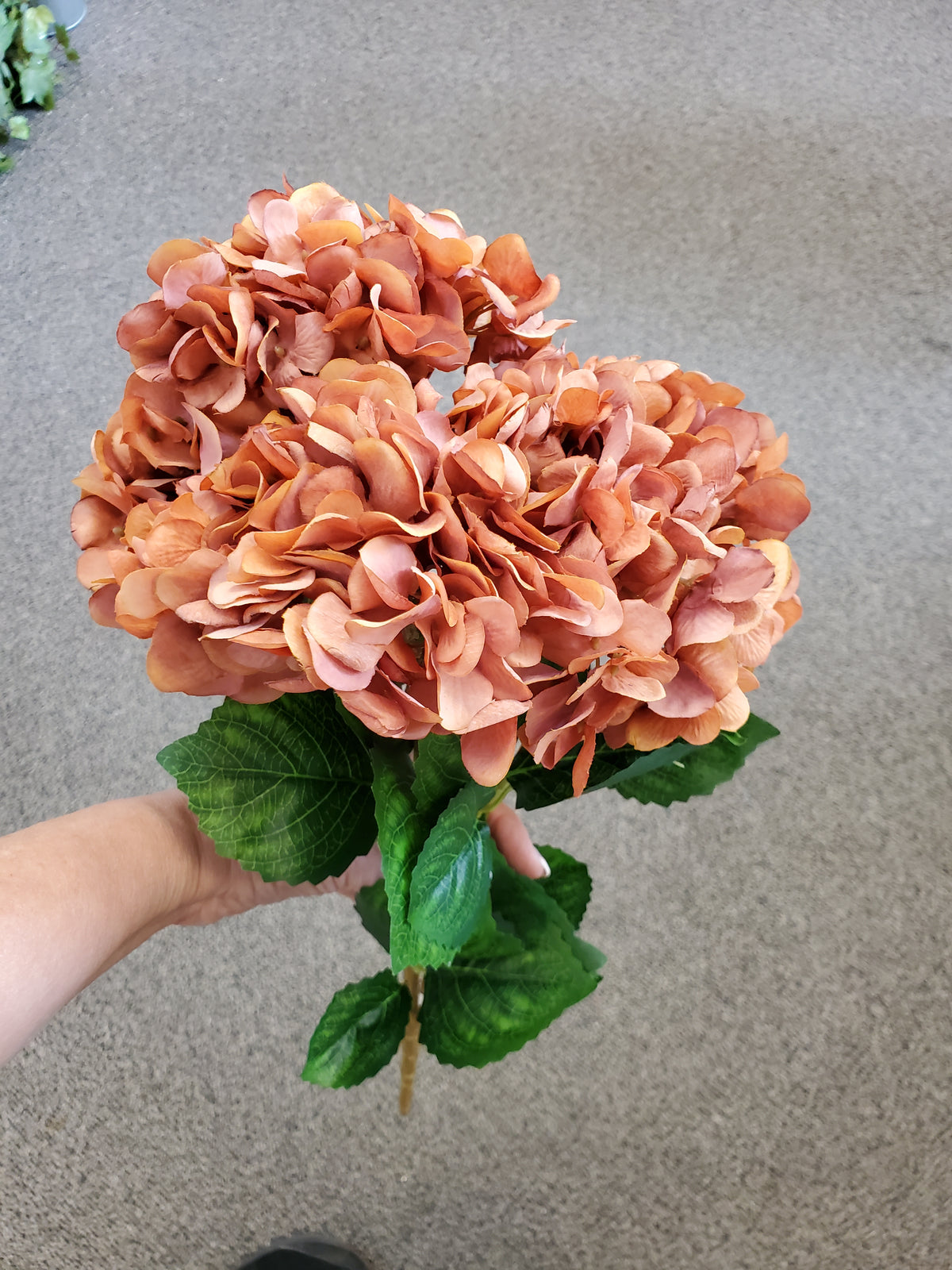 19&quot; Hydrangea bush--#fbh254