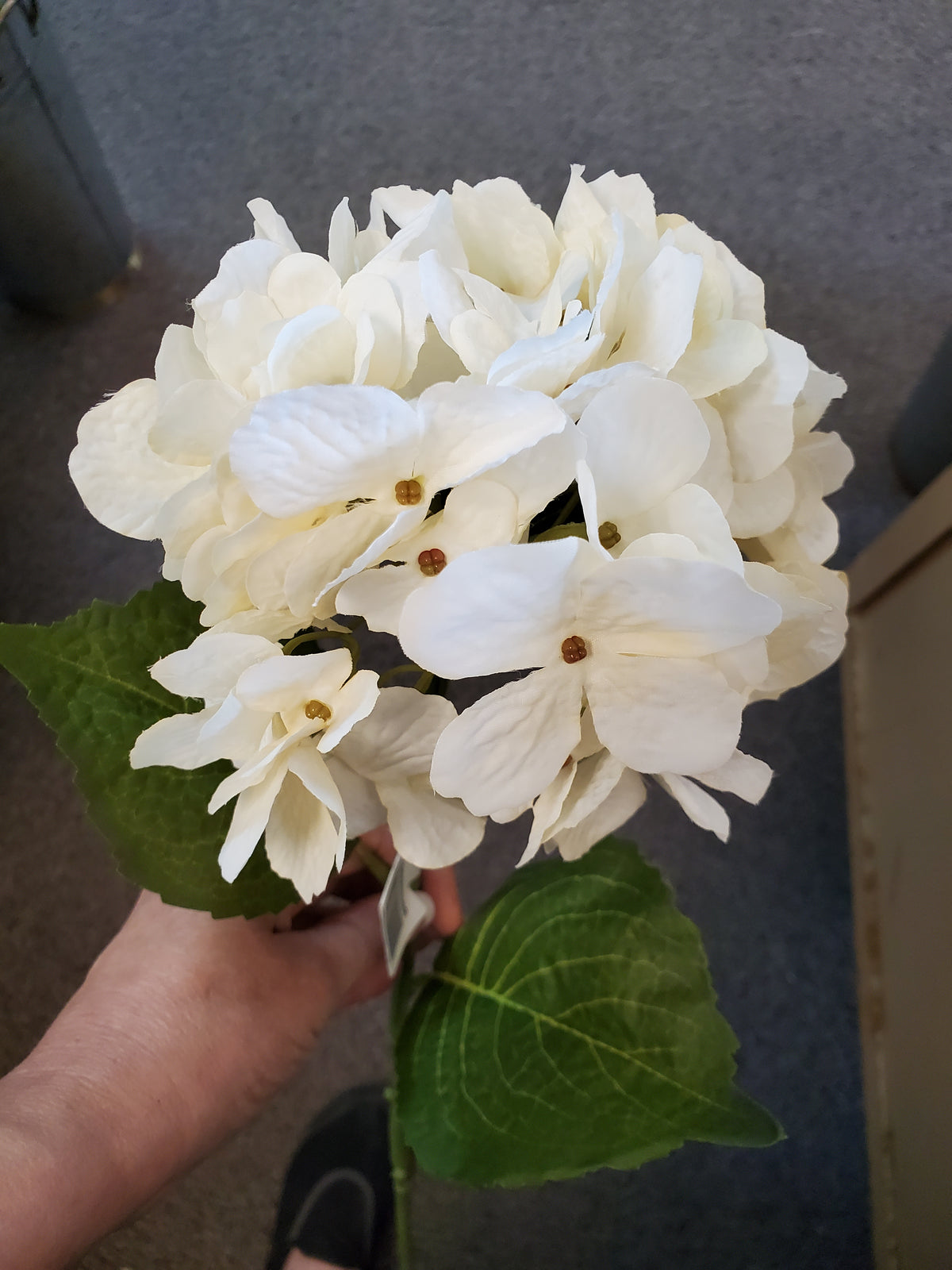 Hydrangea Spray--cream