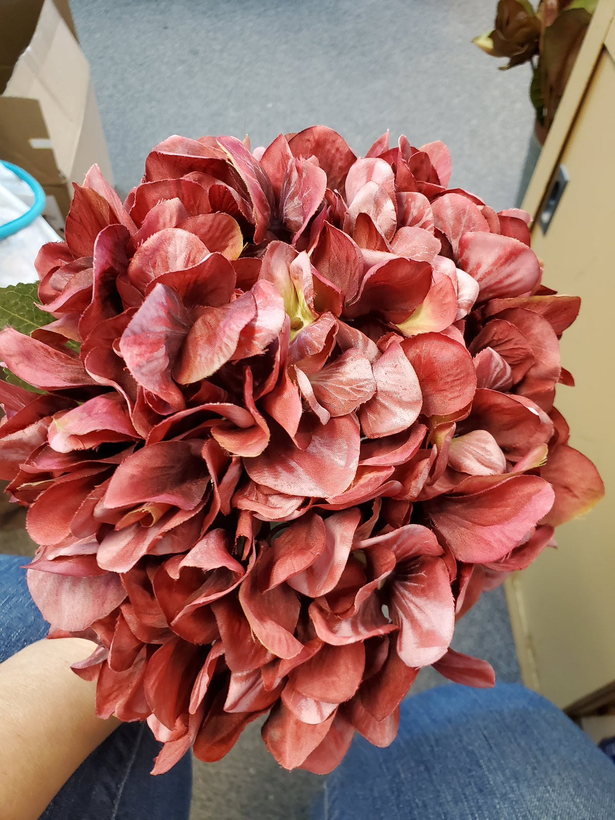 25&quot; Hydrangea Spray--burgundy