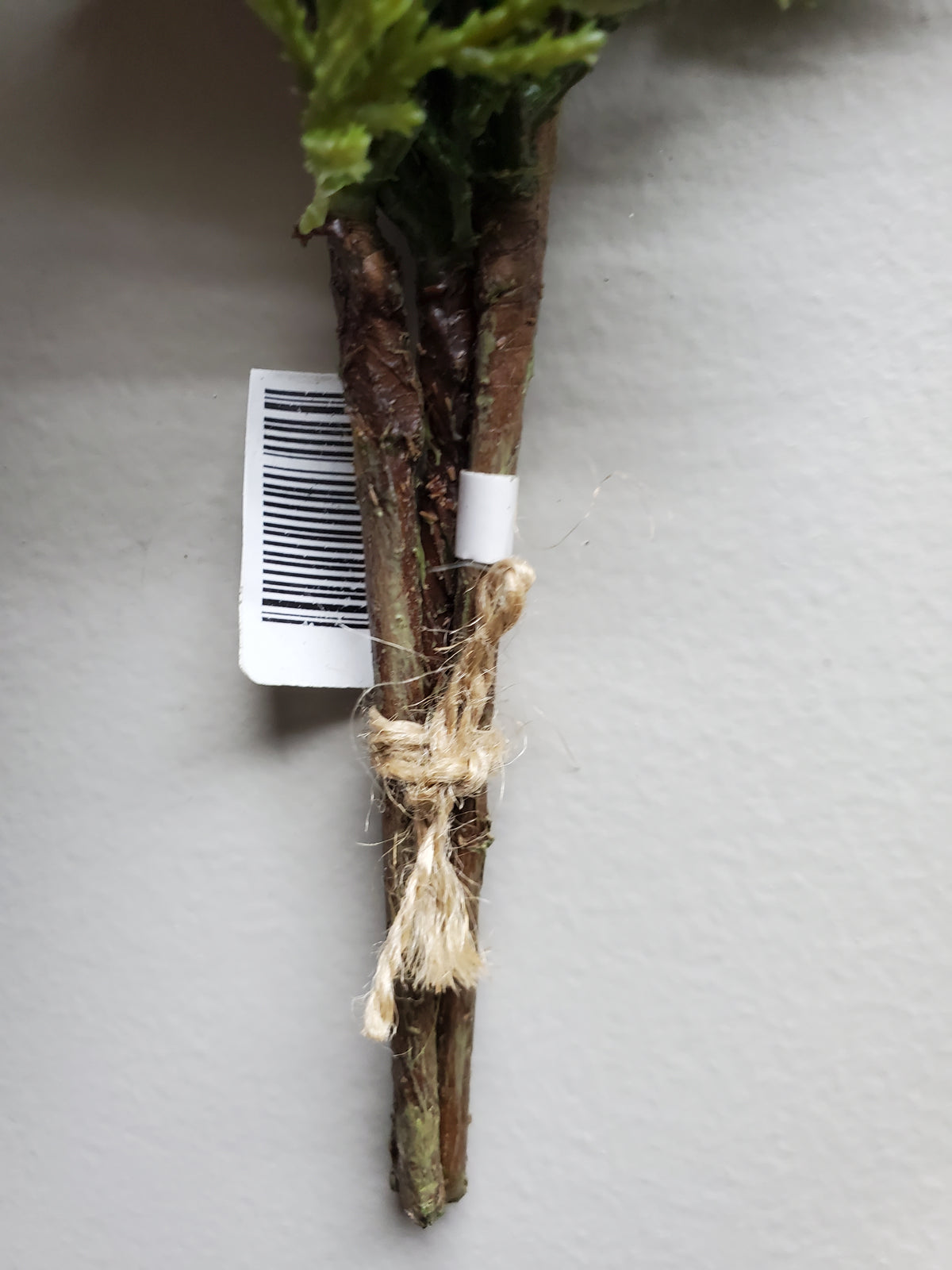 16&quot; Cypress Pick Bundle