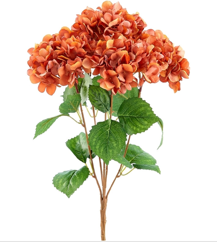 19" Hydrangea bush--#fbh254