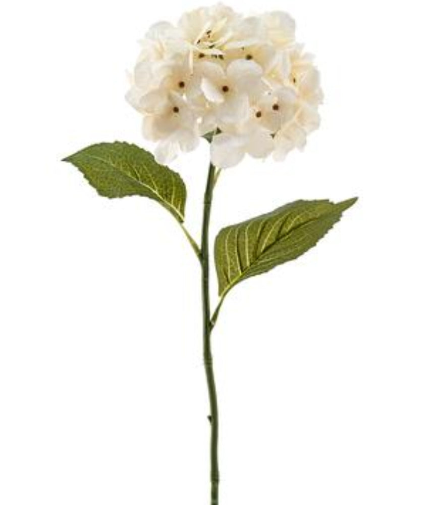 Hydrangea Spray--cream