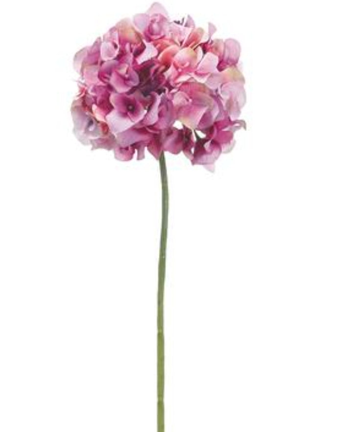 18.5" Victorian Hydrangea--orchid