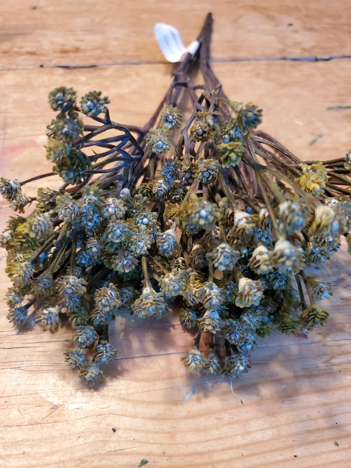 Baby&#39;s Breath Spray--15&quot;