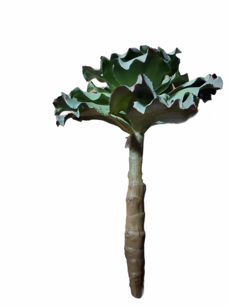 14&quot; Ruffled Echeveria-#ce1132